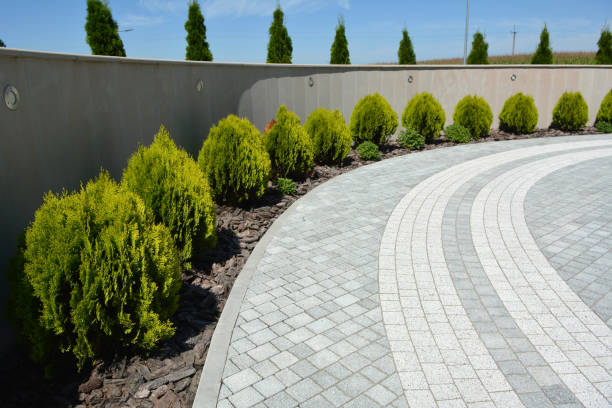 Best Residential Paver Driveway  in August, CA